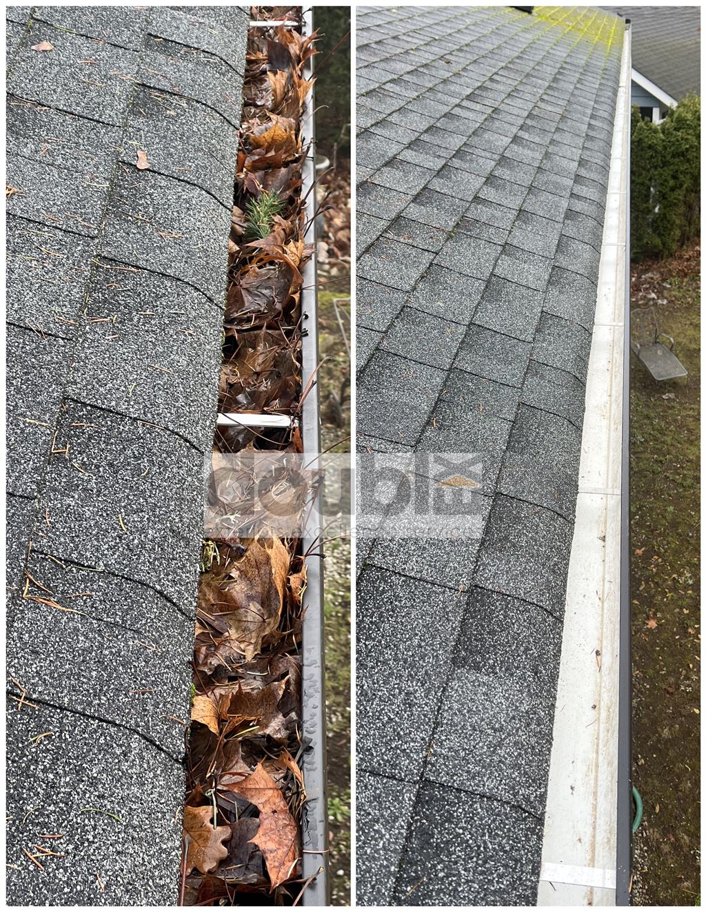 gutter cleaning